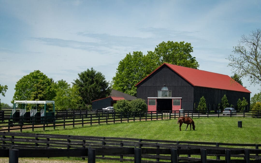 The latest from Margaux Farm (Kentucky)